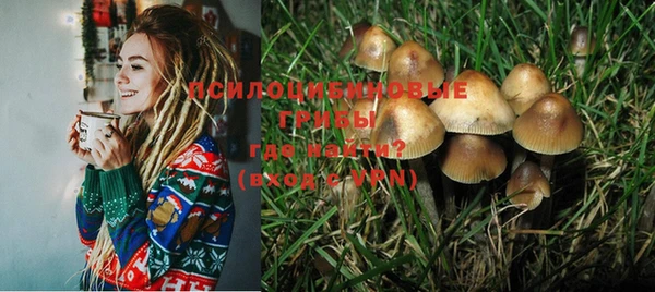 spice Алзамай