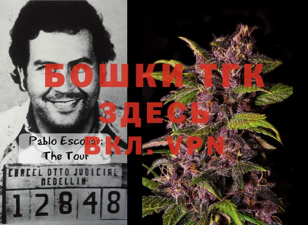 spice Алзамай