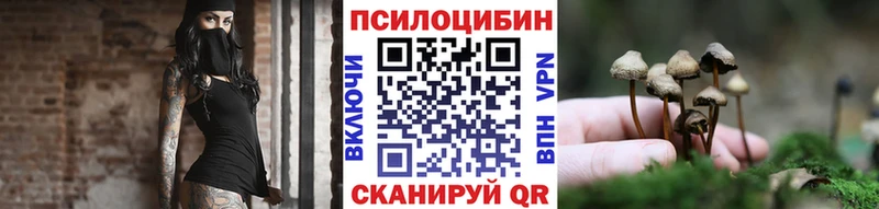 Галлюциногенные грибы Psilocybine cubensis  Искитим 